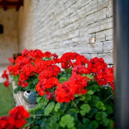 بيت للعطل In Lisicic With Wifi Lisicici