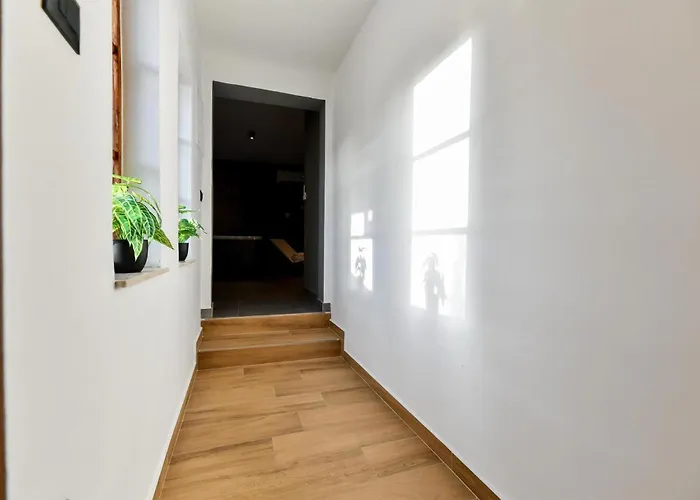 In Lisicic With Wifi * Lisicici