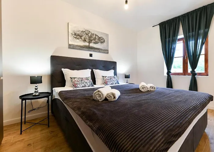 In Lisicic With Wifi *